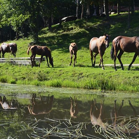 Gospodarstwo Agroturystyczne "Paryja" Olpiny Luaran gambar