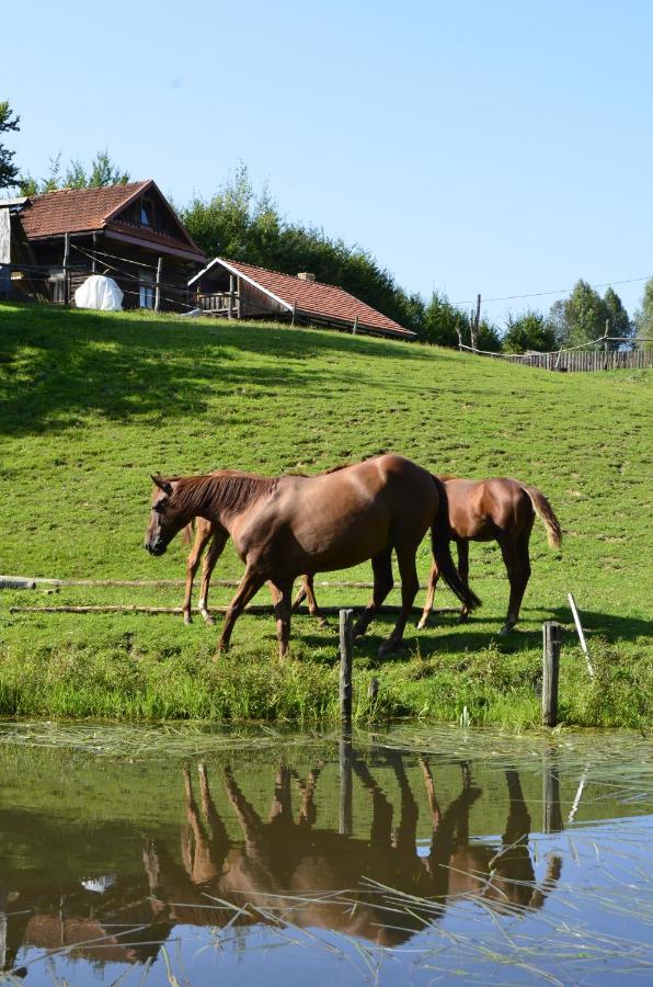 Gospodarstwo Agroturystyczne "Paryja" Olpiny Luaran gambar