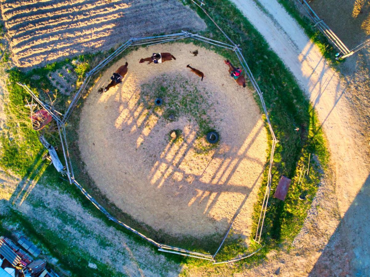 Gospodarstwo Agroturystyczne "Paryja" Olpiny Luaran gambar